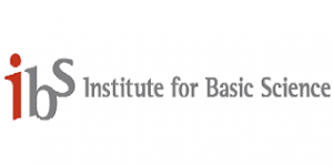 Institute for Basic Science (IBS)
